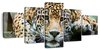 Lazy Leopard Wall Art