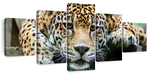 Lazy Leopard Wall Art