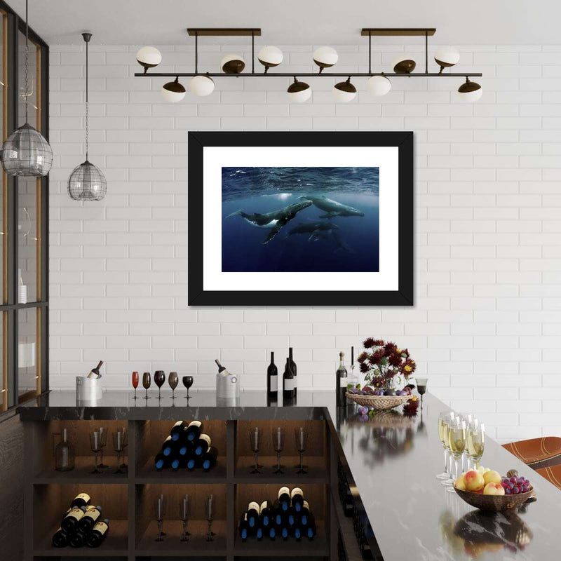 Humpback Whales Wall Art