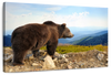 Mountain Bear Wall Art