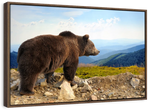 Mountain Bear Wall Art