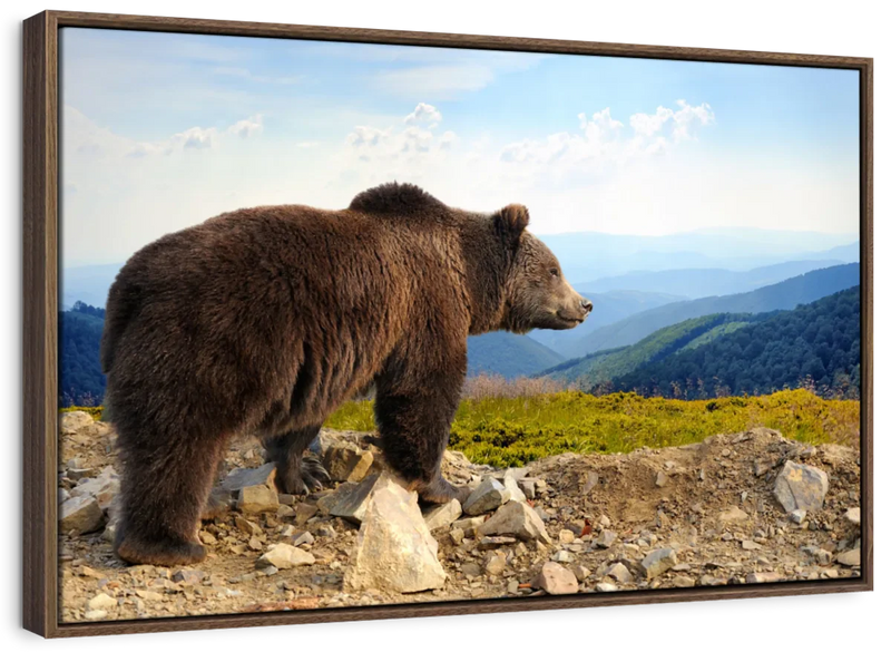 Mountain Bear Wall Art
