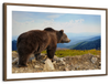 Mountain Bear Wall Art