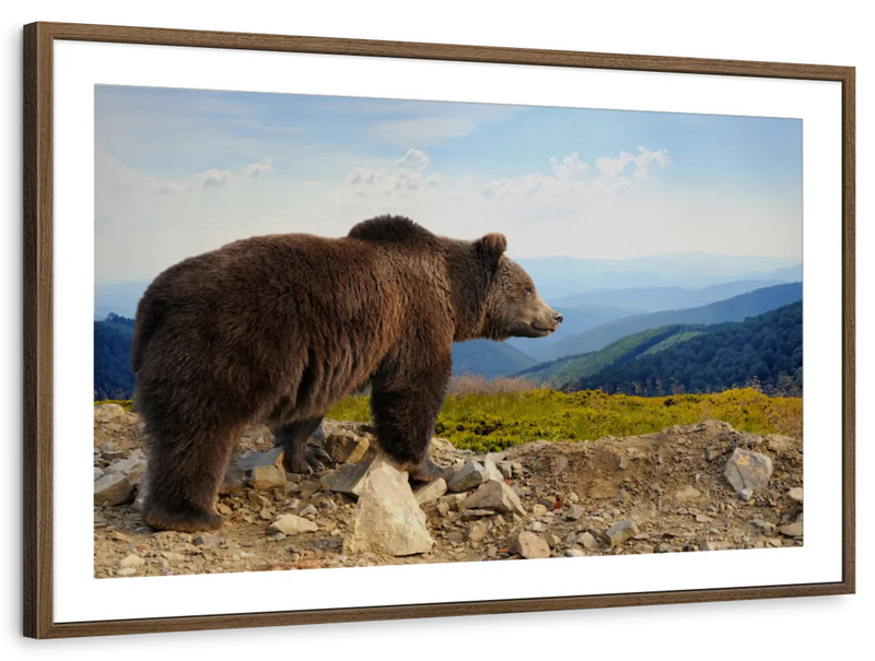 Mountain Bear Wall Art