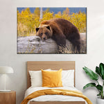 Resting Grizzly Bear Wall Art