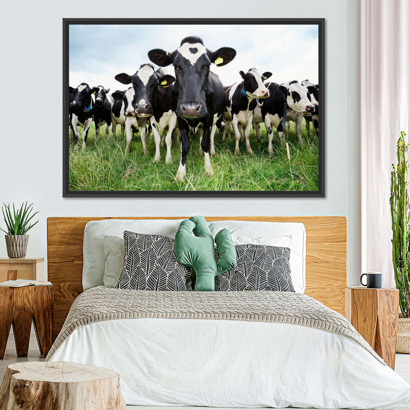 Holstein Cows Wall Art