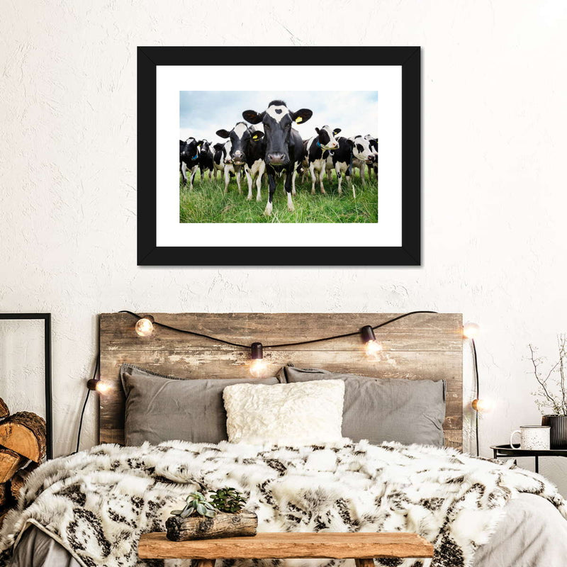 Holstein Cows Wall Art
