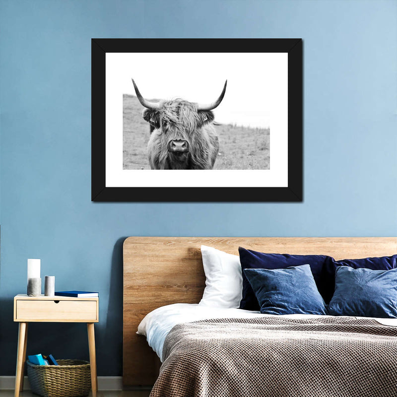 Solitary Highland Cow Wall Art