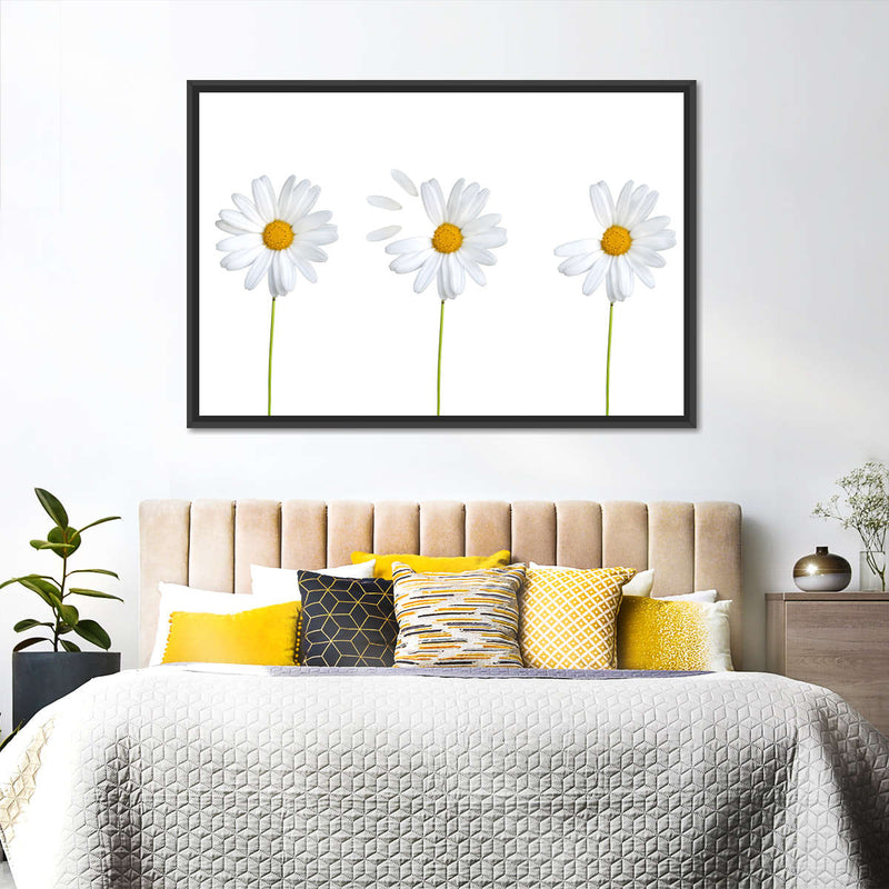 Plucked Daisies Wall Art