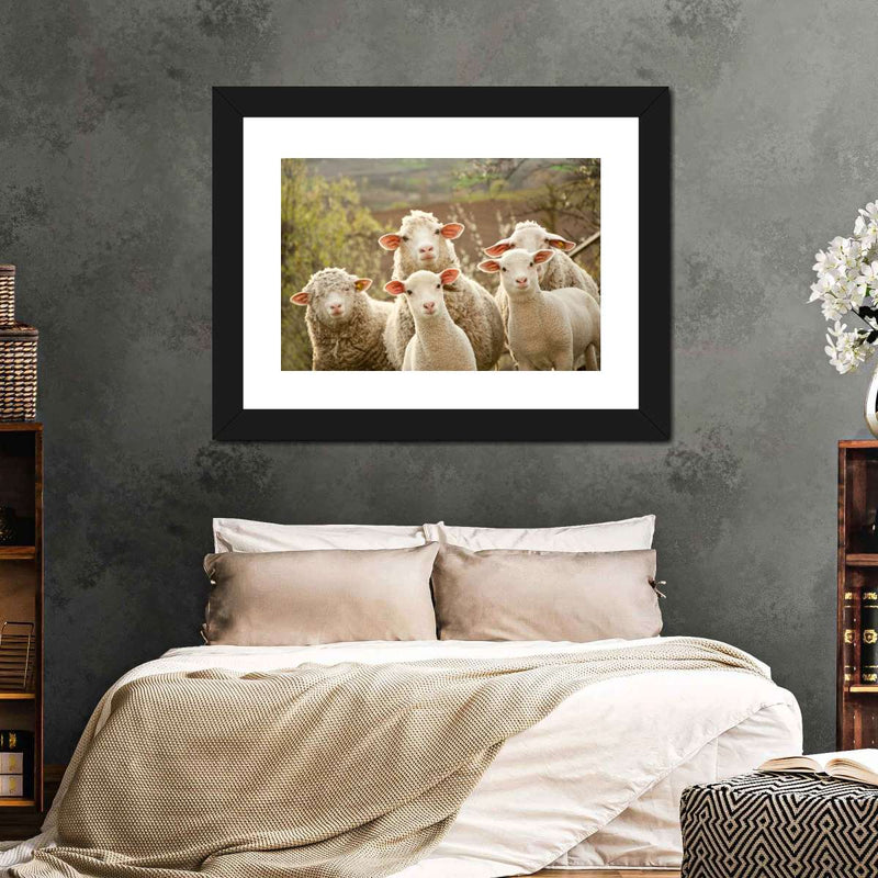 Stunned Sheep Wall Art