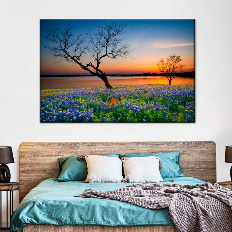 Texas Sunset Wall Art
