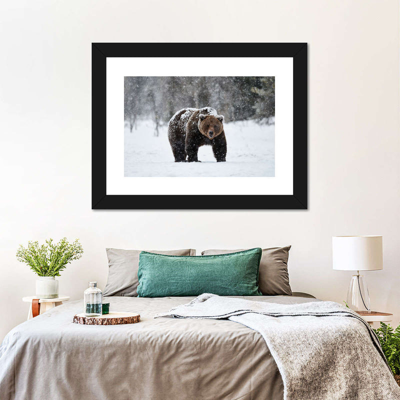 Winter Grizzly Bear Wall Art