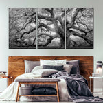 Monochrome Angel Oak Tree Wall Art