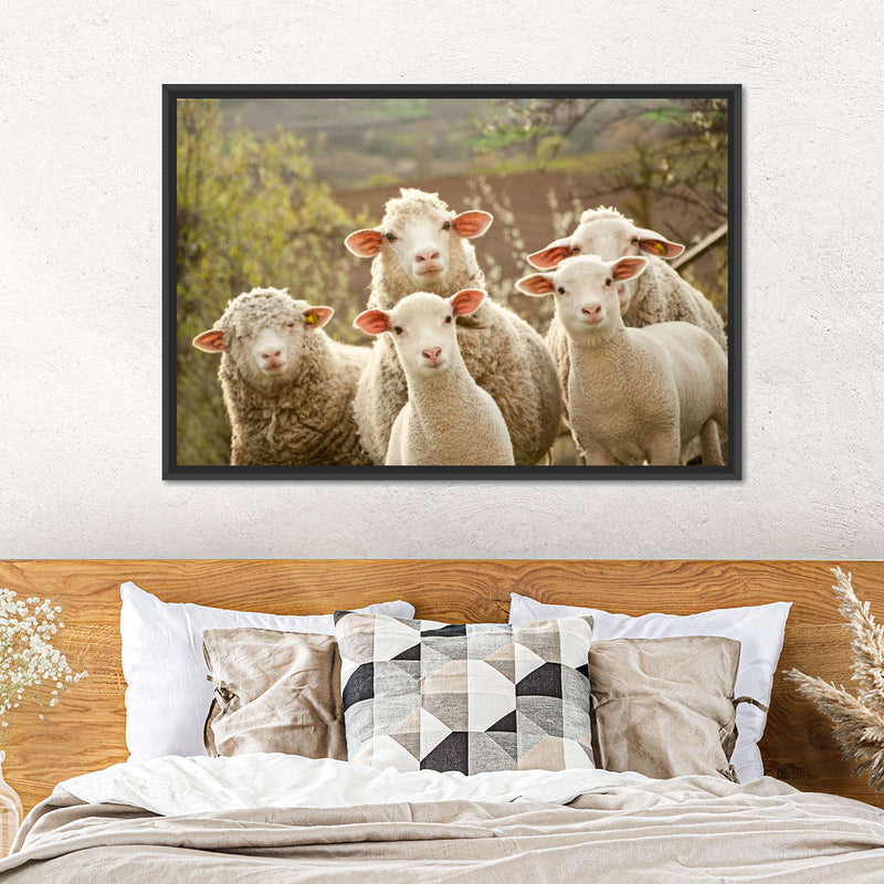 Stunned Sheep Wall Art