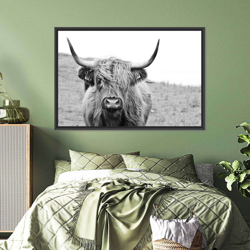 Solitary Highland Cow Wall Art