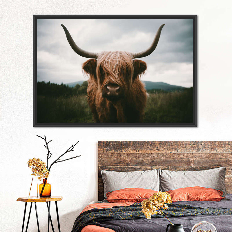 Open Field Highland Cow Wall Art