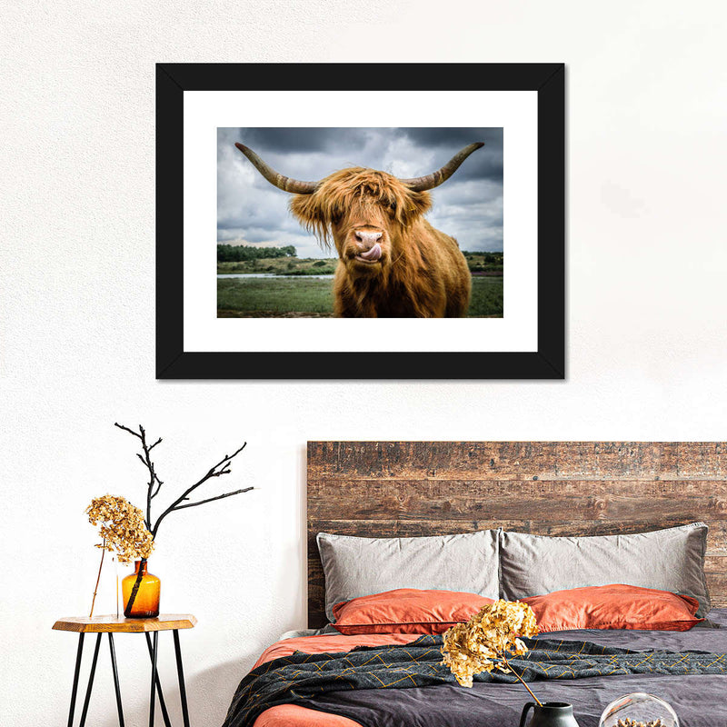 Silly Highland Cow Wall Art