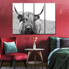Solitary Highland Cow Wall Art