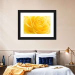 Yellow Rose Petals Wall Art