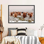 Winter Highland Cows Wall Art