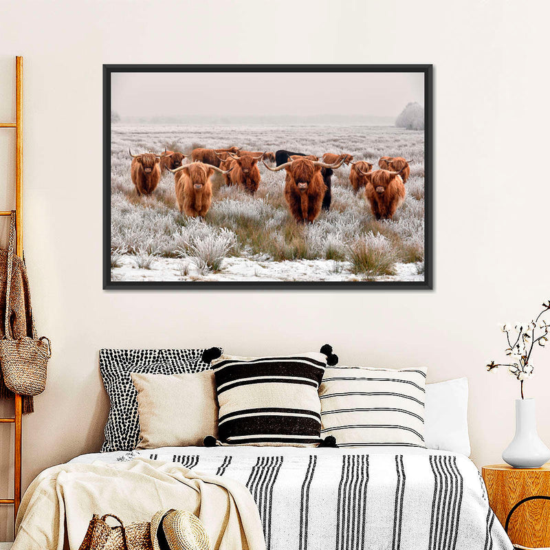 Winter Highland Cows Wall Art