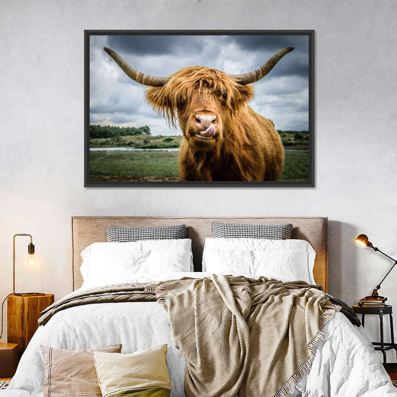 Silly Highland Cow Wall Art