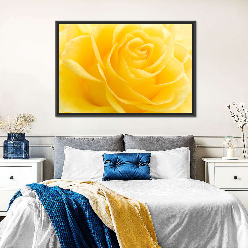 Yellow Rose Petals Wall Art