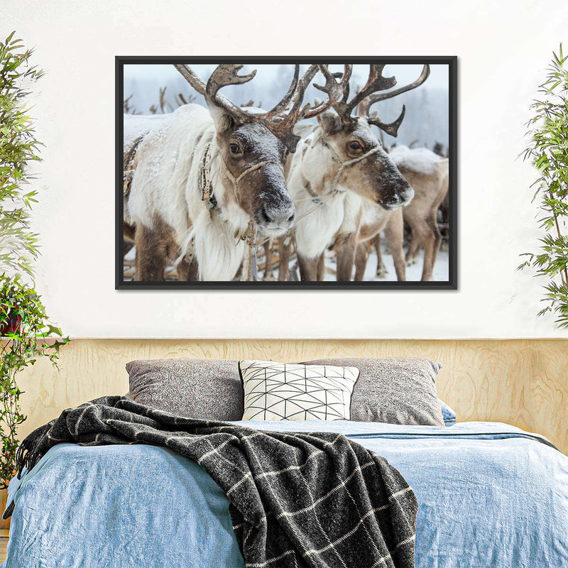 Snow Reindeer Wall Art
