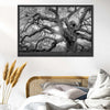 Monochrome Angel Oak Tree Wall Art