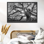 Monochrome Angel Oak Tree Wall Art