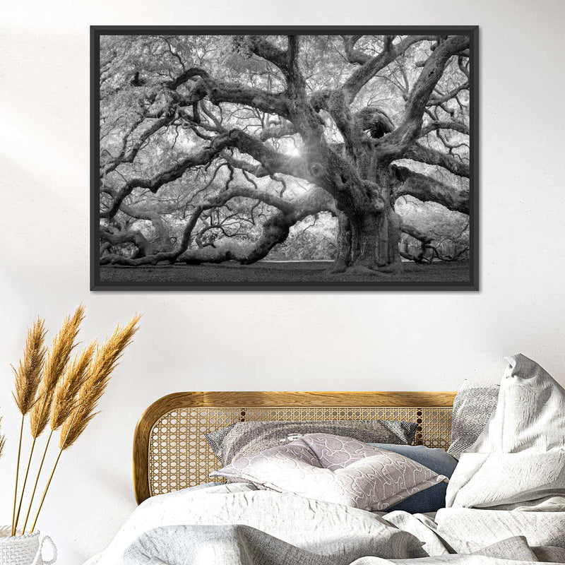 Monochrome Angel Oak Tree Wall Art