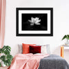 Lotus Flower Monochrome Wall Art