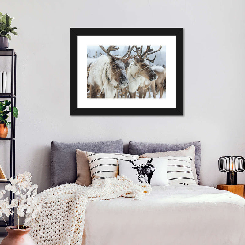 Snow Reindeer Wall Art