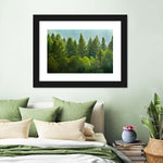 Lush Green Pine Trees Wall Art