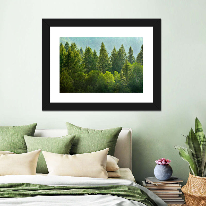 Lush Green Pine Trees Wall Art