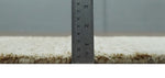 3x5 Beige and Ivory Shaded Solid Wool Hand Woven Rug