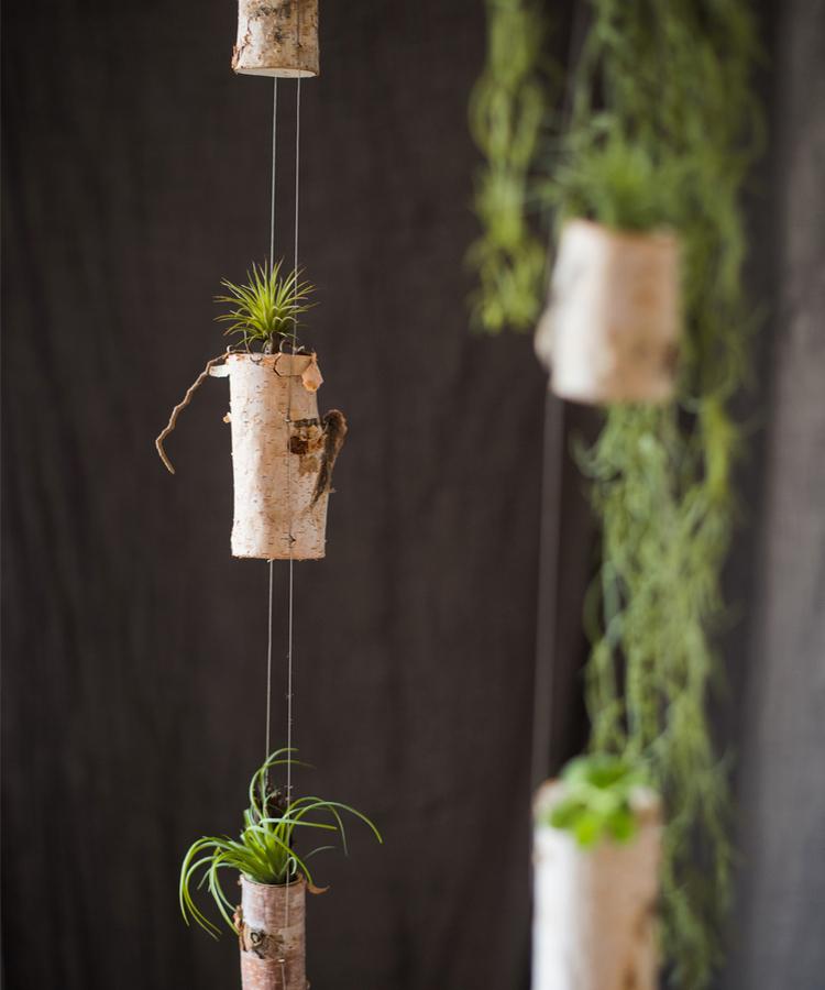 Birch Wood Tiny Planter String Hanging Planter Decoration