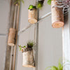 Birch Wood Tiny Planter String Hanging Planter Decoration