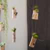 Birch Wood Tiny Planter String Hanging Planter Decoration