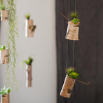 Birch Wood Tiny Planter String Hanging Planter Decoration