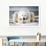 Yoga Polar Bear Wall Art