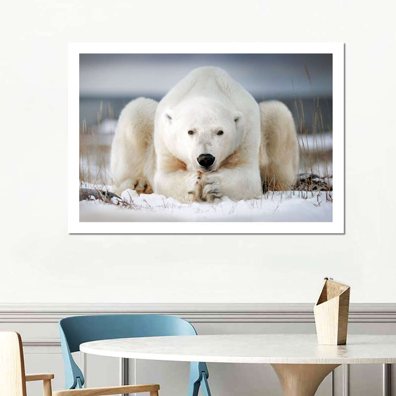 Yoga Polar Bear Wall Art