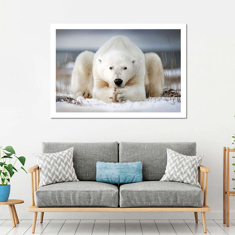 Yoga Polar Bear Wall Art