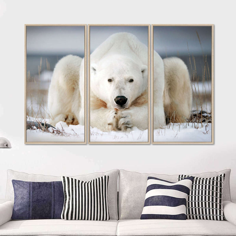 Yoga Polar Bear Wall Art