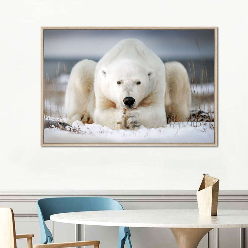 Yoga Polar Bear Wall Art