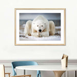 Yoga Polar Bear Wall Art