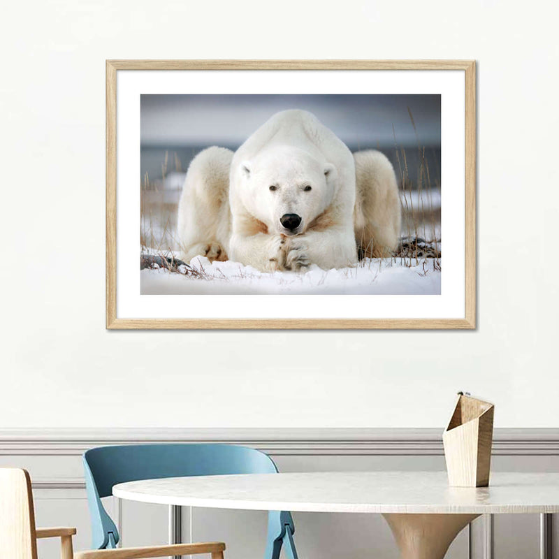Yoga Polar Bear Wall Art