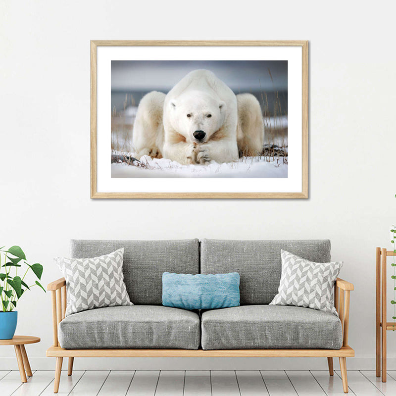 Yoga Polar Bear Wall Art
