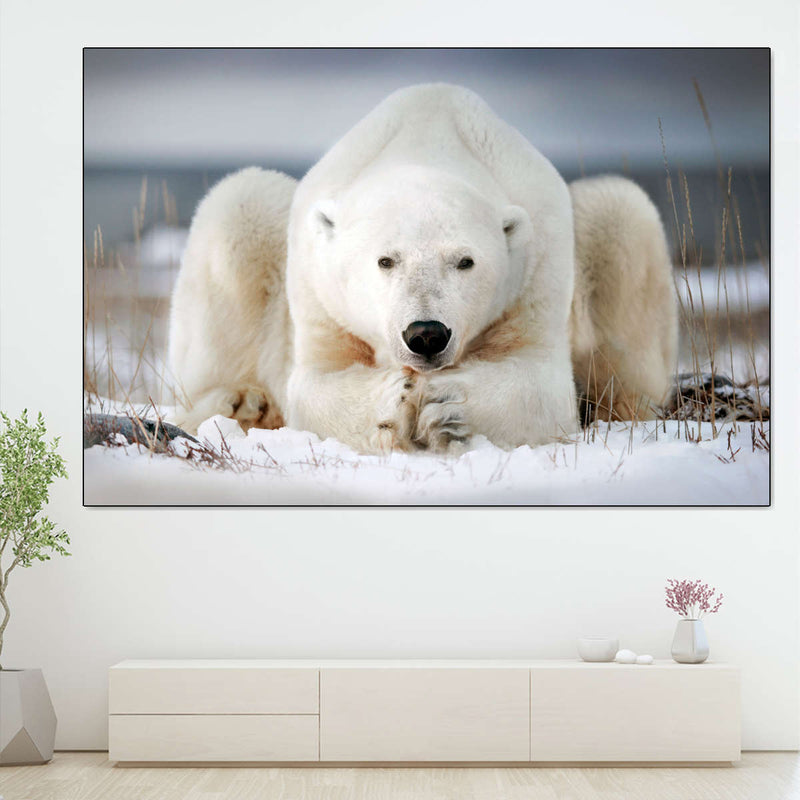 Yoga Polar Bear Wall Art