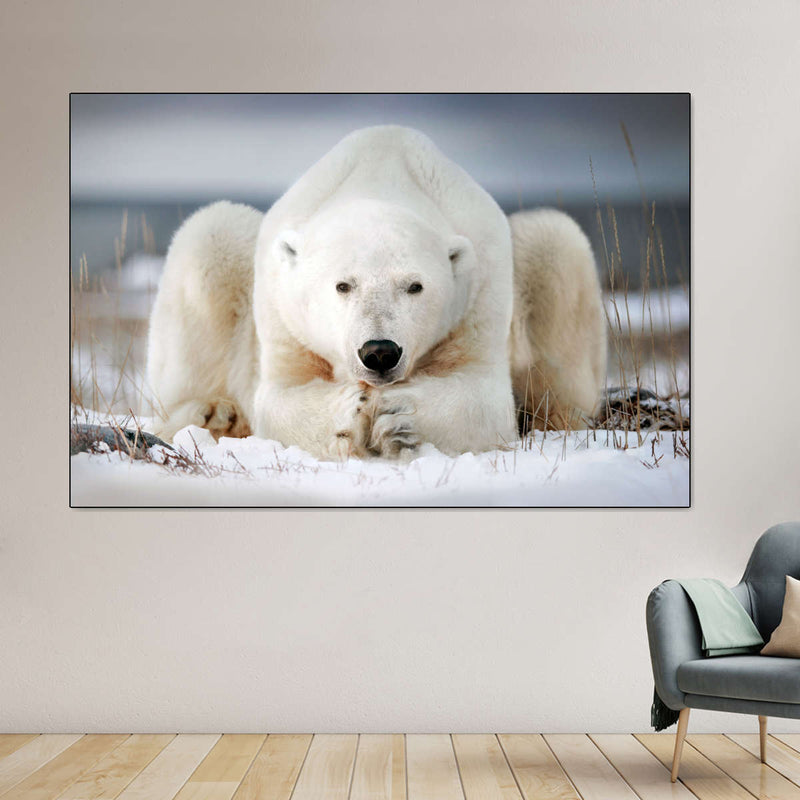 Yoga Polar Bear Wall Art